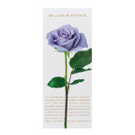 One-stroke blue rose