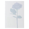 Clear holder blue rose